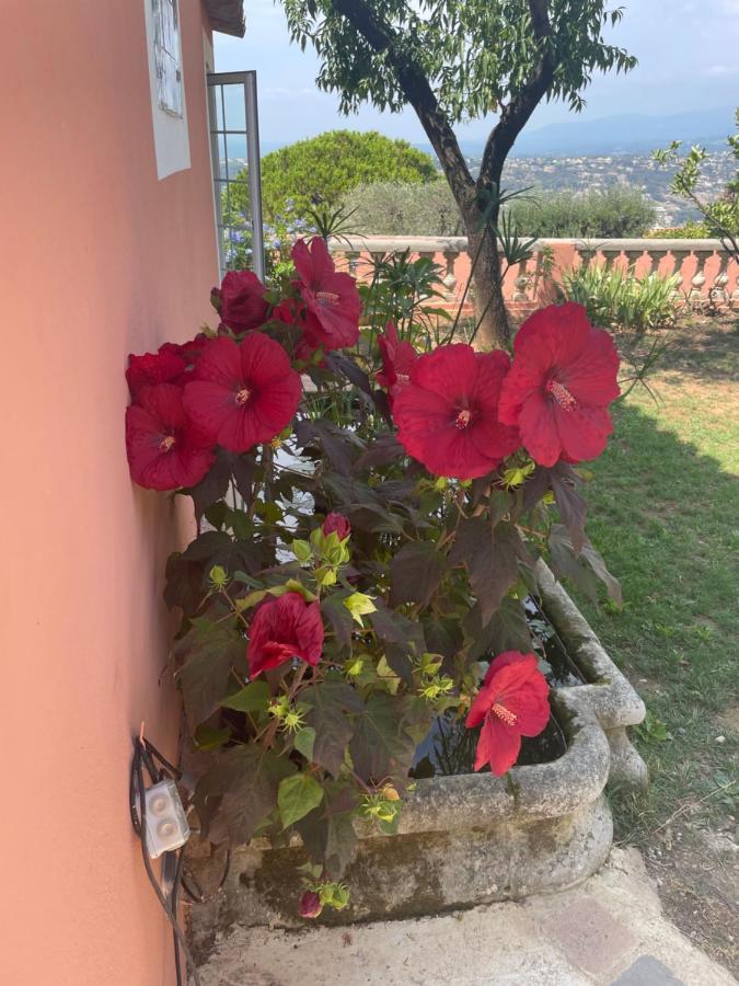 Chambre D'Hotes A L'Ancre Marine De La Villa Rose Ница Екстериор снимка